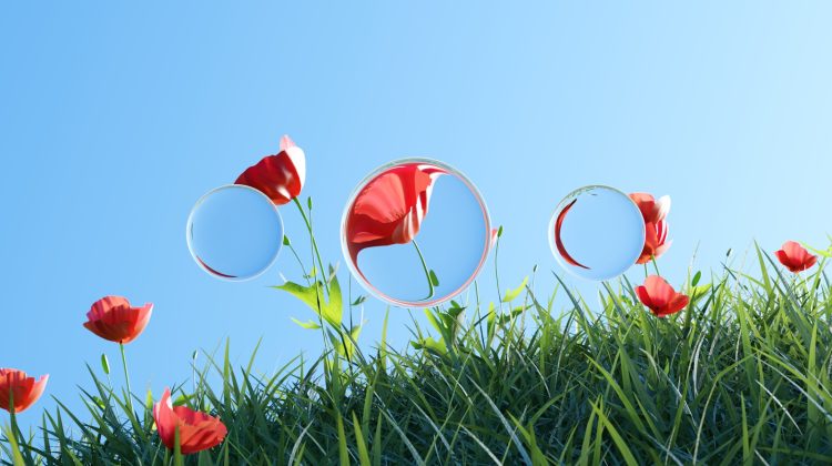 Flowers and reflections bloom on a sunny day.