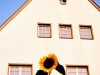 A sunflower blooms in front of a house.