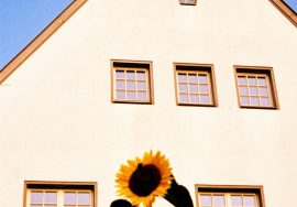 A sunflower blooms in front of a house.